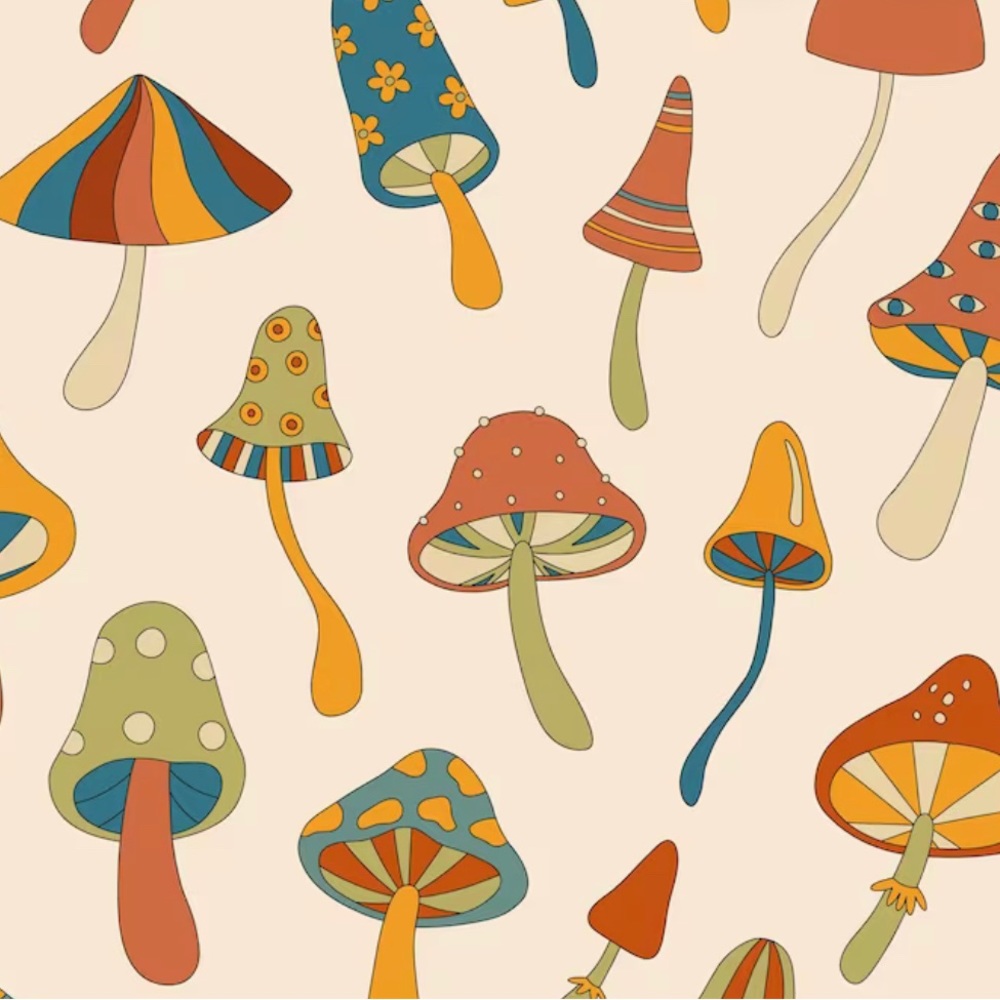 Meet your Posher, Krystin